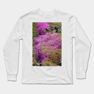 SF Bay in Pink Long Sleeve T-Shirt